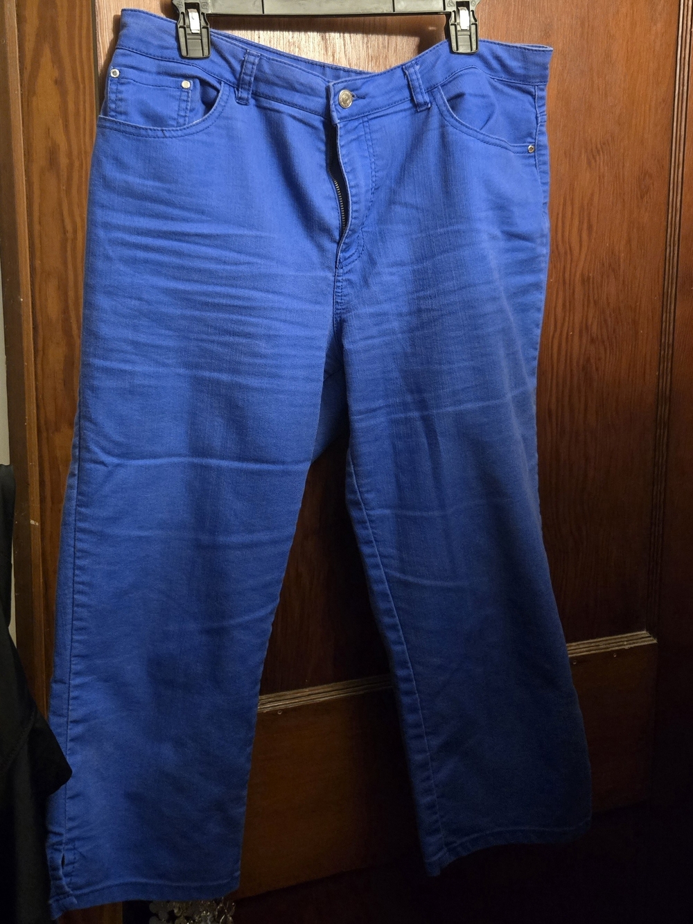 Jaclyn Smith Electric Blue Capri Pants